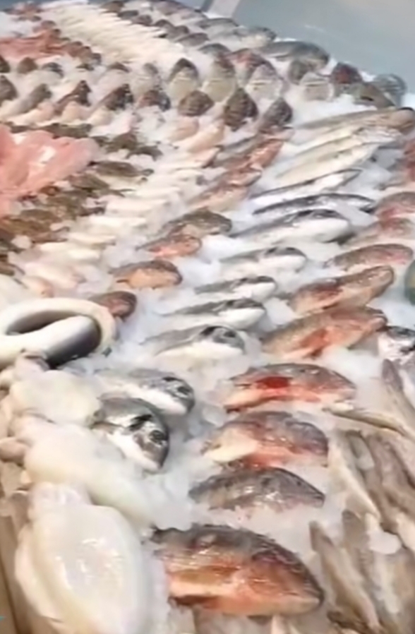 “الصفا للأسماك… حيث تتحول وجبة البحر إلى ذكرى لا تُنسى”